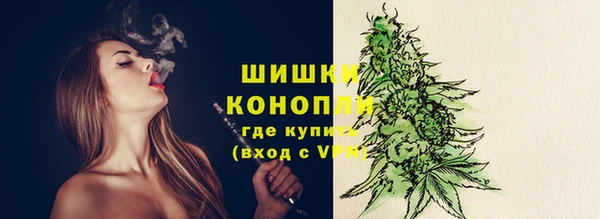 тгк Бронницы