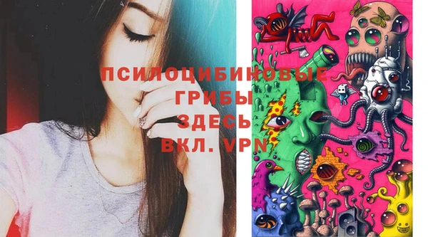 кокс Бородино