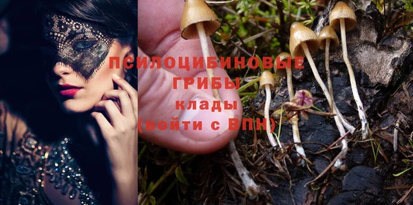 мдпв Бугульма