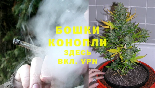 тгк Бронницы
